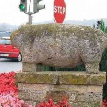 Click para ampliar. Pulsa en el nombre para ver la ficha. Verraco Pontedeume 2